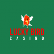 Lucky Bird Casino