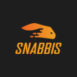 Snabbis Casino