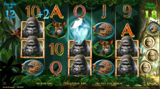Gorilla Kingdom