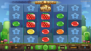 Reel Rush