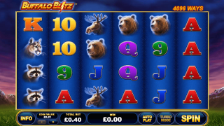 Buffalo Blitz